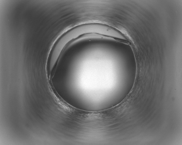 X0000074281181200609222235