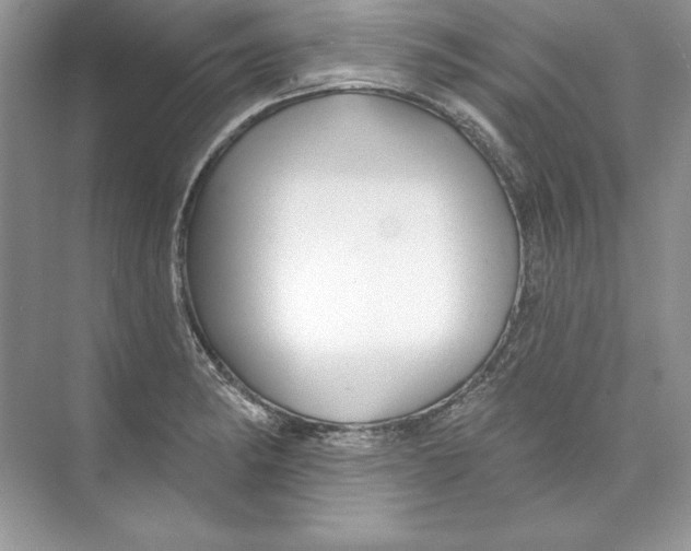 X0000074281182200609222235