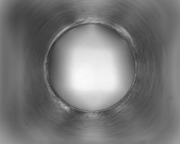 X0000074281190200609222235
