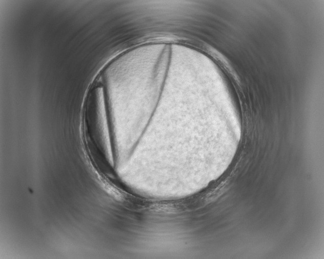 X0000074281194200609222235