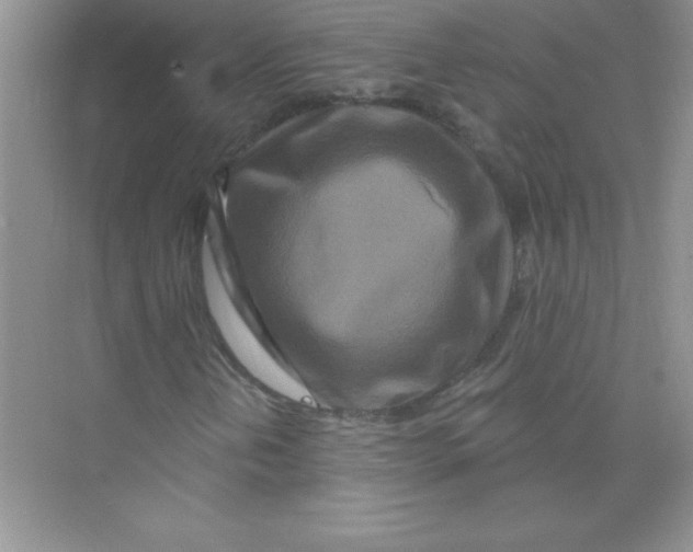 X0000074281202200609222234