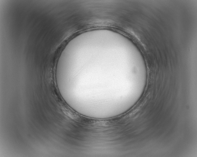 X0000074281211200609222234