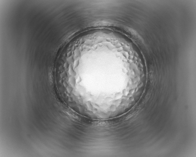 X0000074281217200609222234