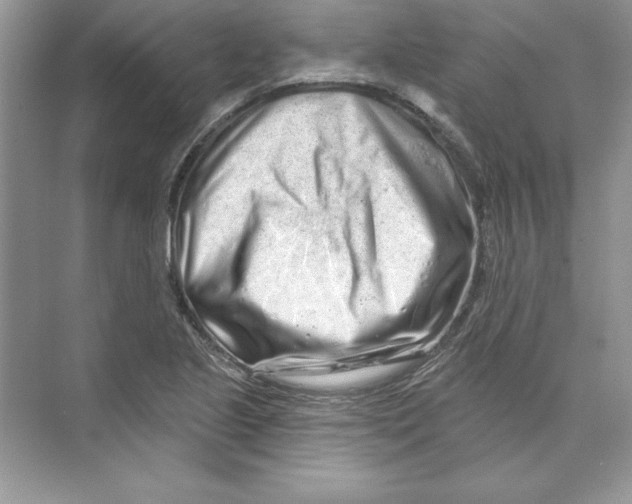 X0000074281221200609222235