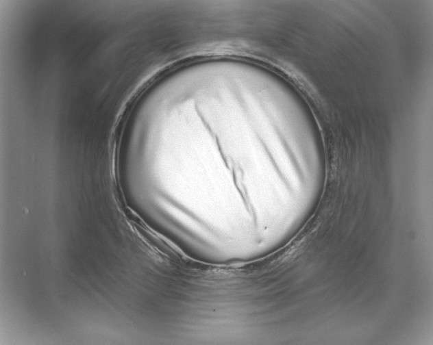 X0000074281224200609222235