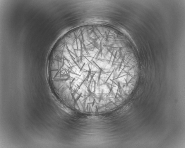 X0000074281227200609222235