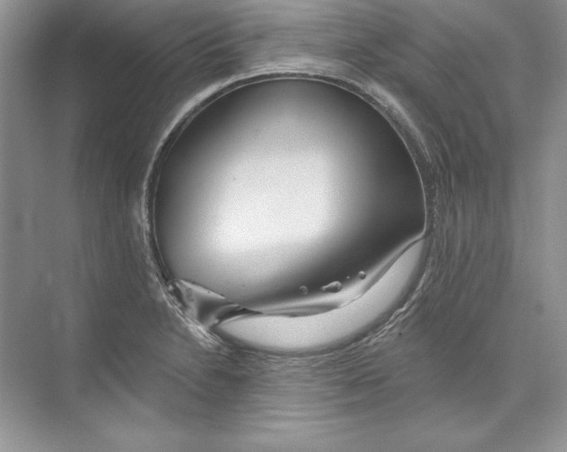 X0000074281230200609222235