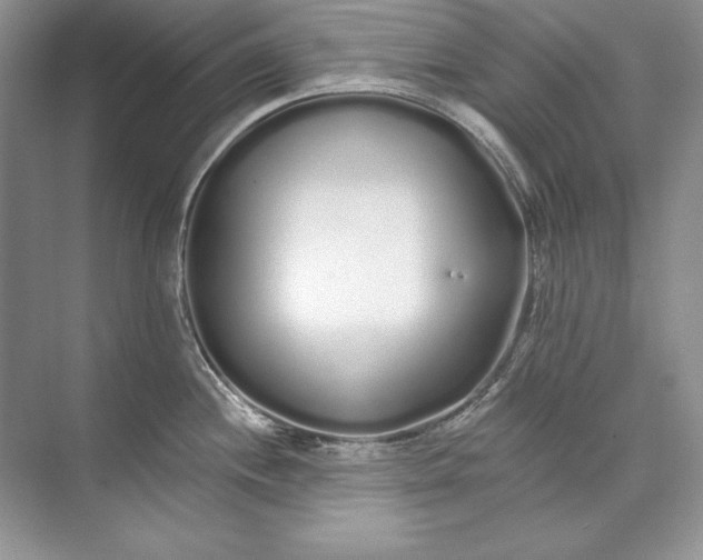 X0000074281244200609222235