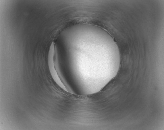 X0000074281250200609222234