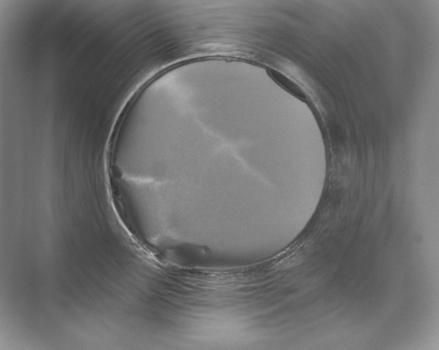 X0000074281291200609222233