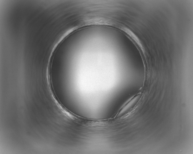 X0000074281293200609222233
