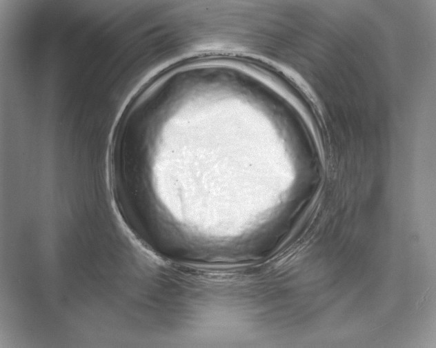 X0000074281295200609222233