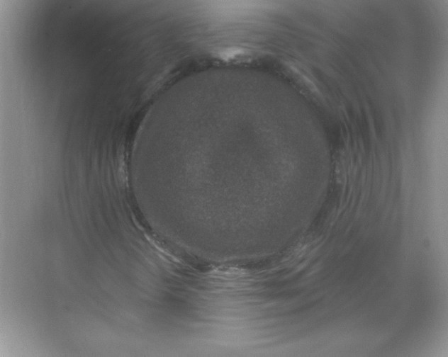X0000074281298200609222233