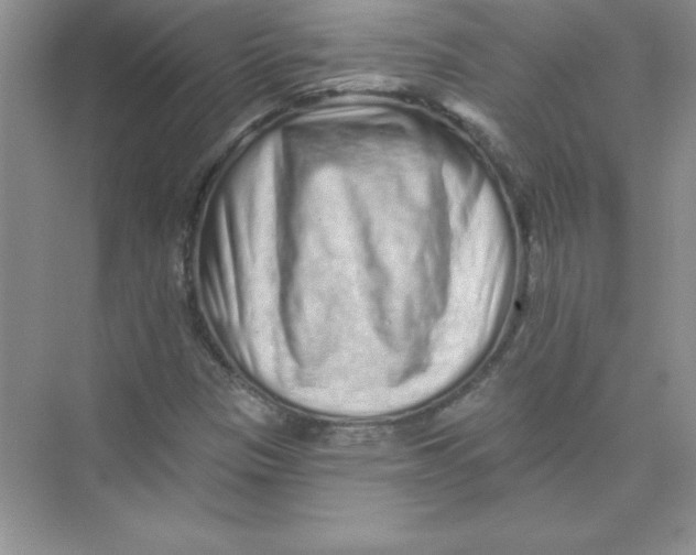 X0000074281305200609222233
