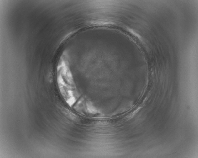 X0000074281306200609222233