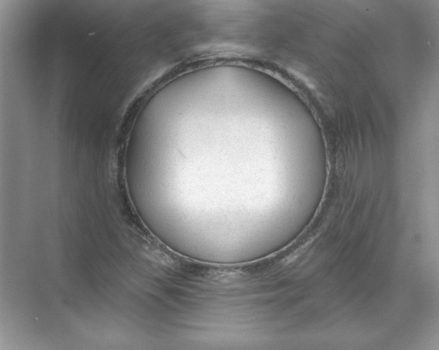 X0000074281309200609222233