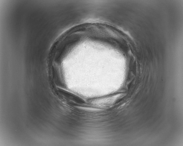 X0000074281311200609222233