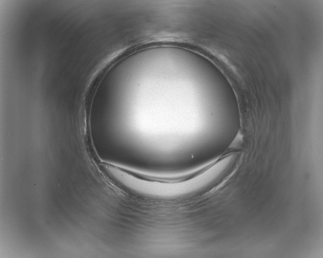 X0000074281317200609222233