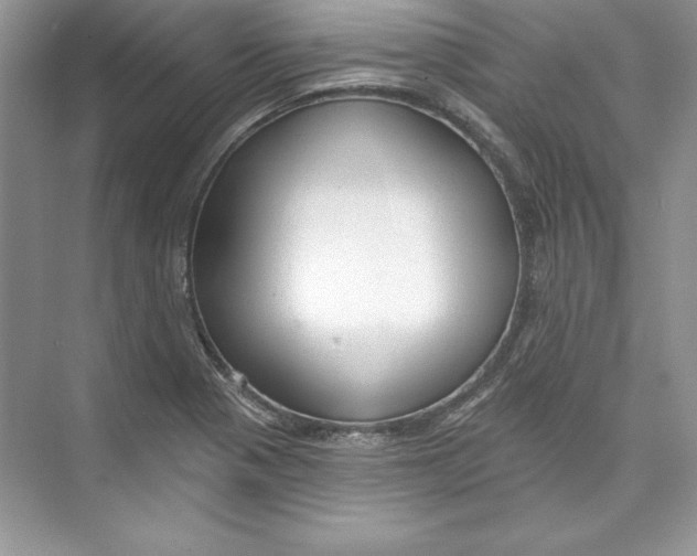 X0000074281321200609222233