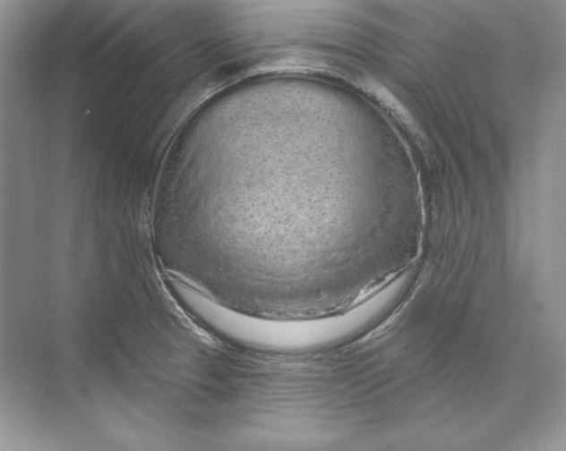 X0000074281329200609222233