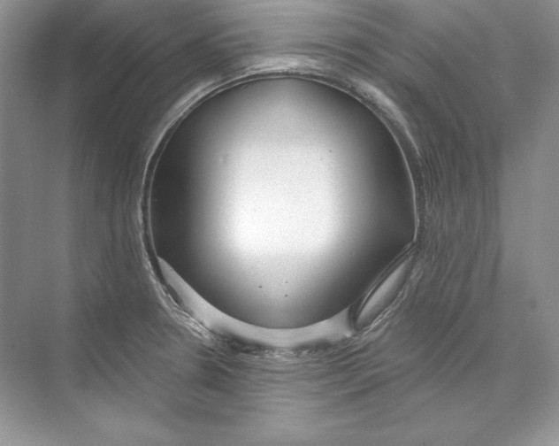 X0000074281330200609222233