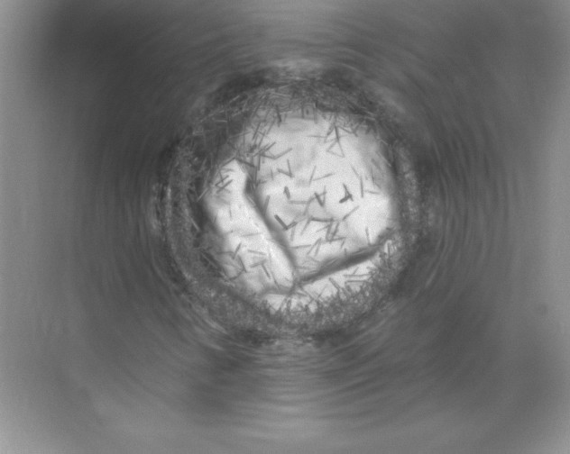 X0000074281346200609222233