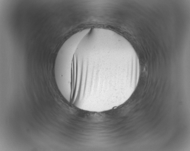 X0000074281348200609222233