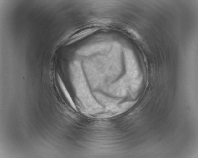 X0000074281354200609222232