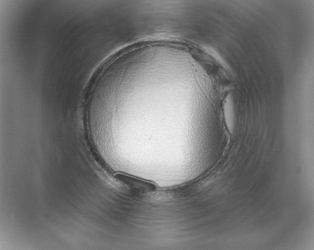 X0000074281356200609222232