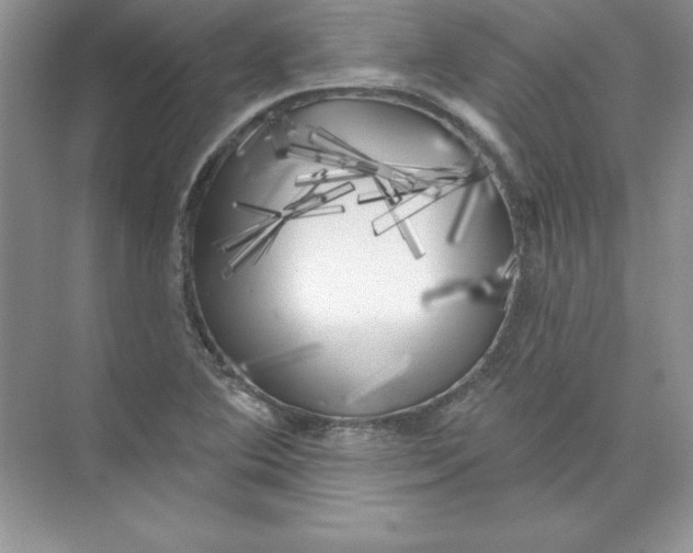 X0000074281364200609222232