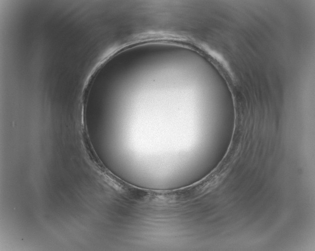 X0000074281365200609222232