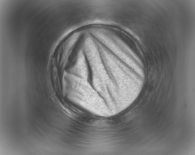 X0000074281367200609222232