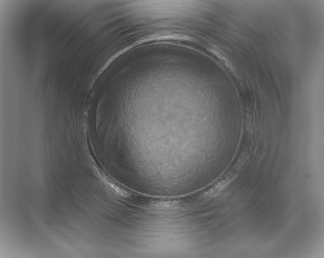 X0000074281369200609222232