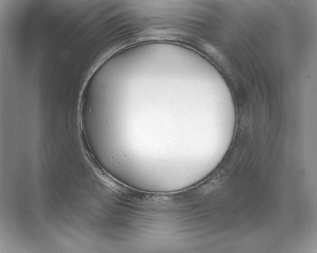 X0000074281370200609222232