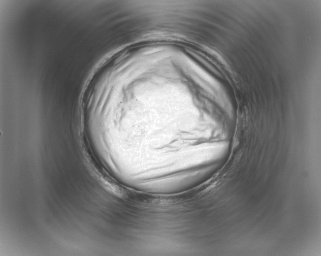 X0000074281371200609222232
