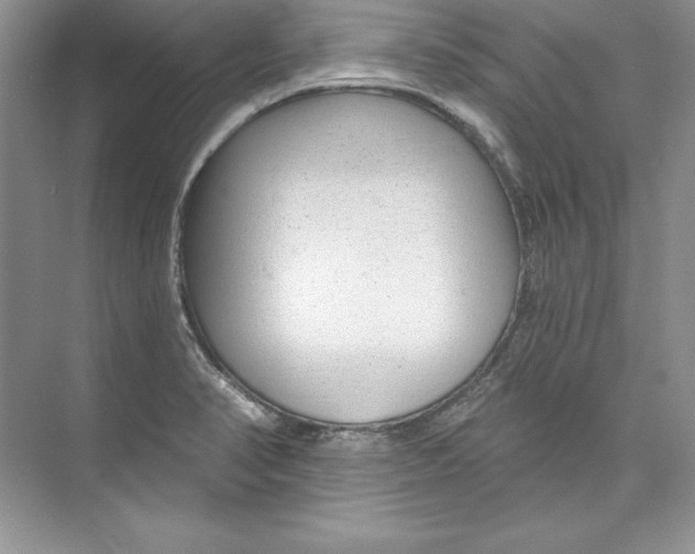 X0000074281374200609222232