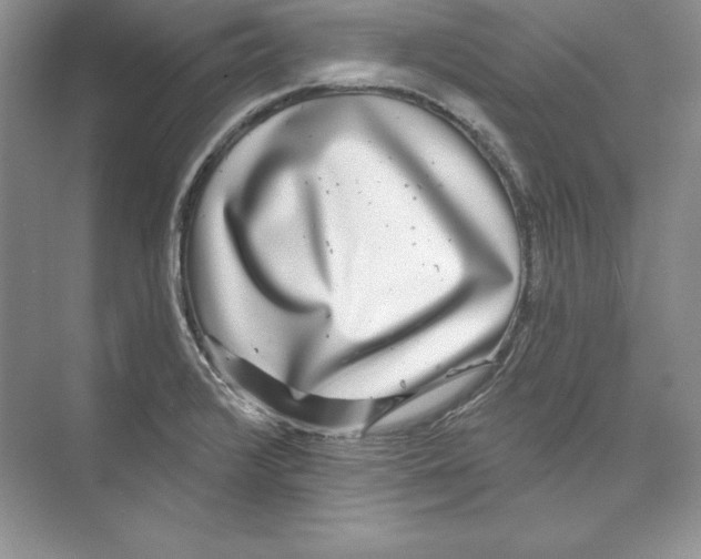 X0000074281376200609222232