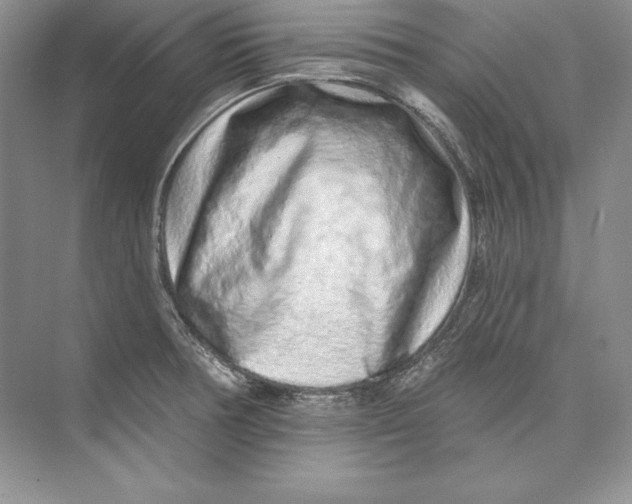 X0000074281378200609222232