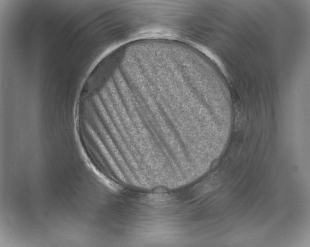 X0000074281383200609222232