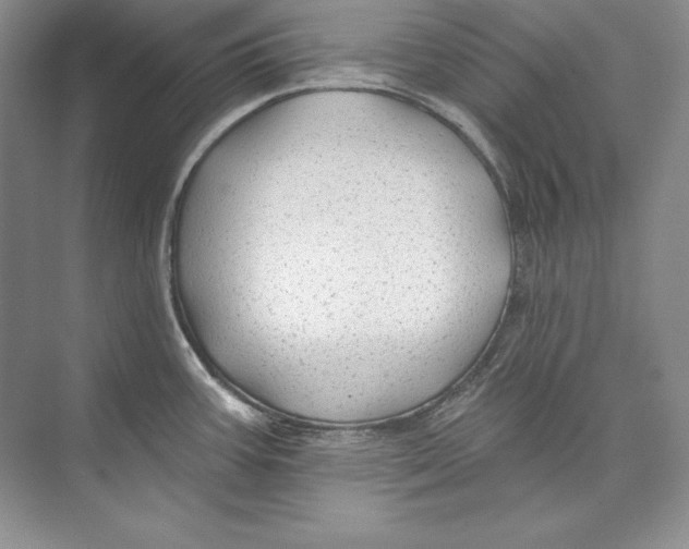 X0000074281387200609222232
