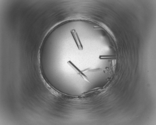 X0000074281388200609222232