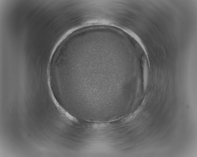 X0000074281389200609222232