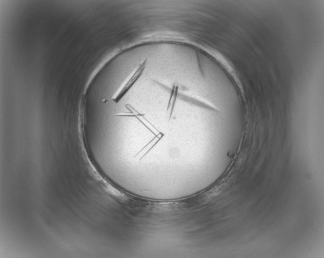 X0000074281390200609222232