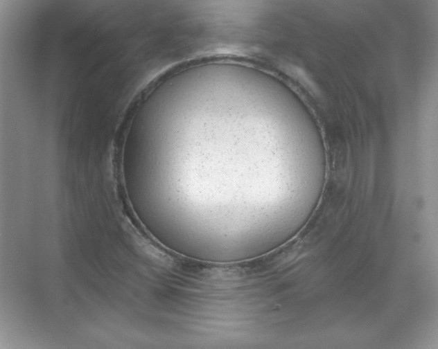 X0000074281404200609222231