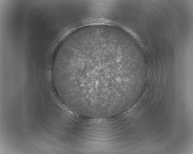X0000074281407200609222231