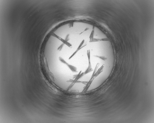 X0000074281412200609222231