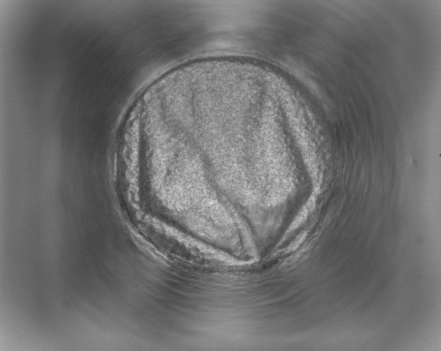 X0000074281413200609222231
