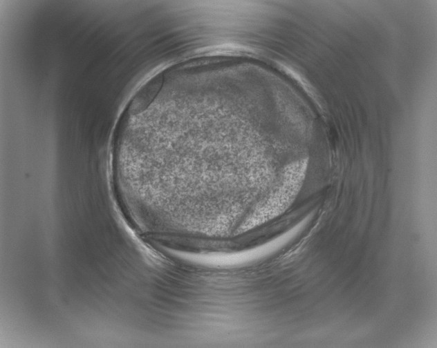 X0000074281418200609222231