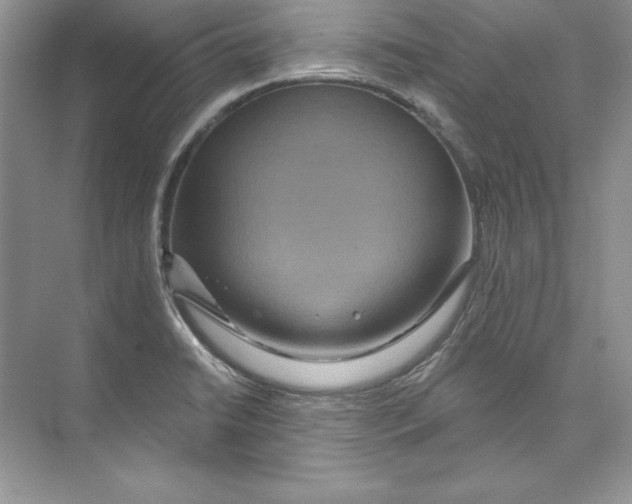 X0000074281422200609222231