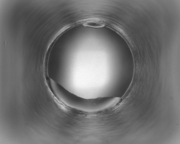 X0000074281426200609222232